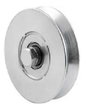 roldana  maior 4.png